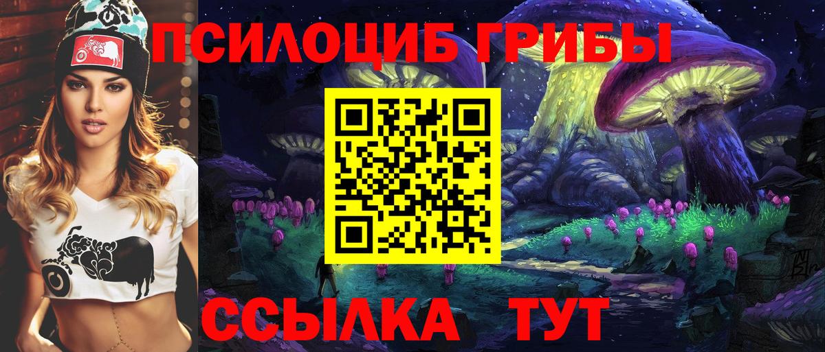 Псилоцибиновые грибы MAGIC MUSHROOMS  Псилоцибиновые грибы Cubensis  Вход с VPN  Строитель 